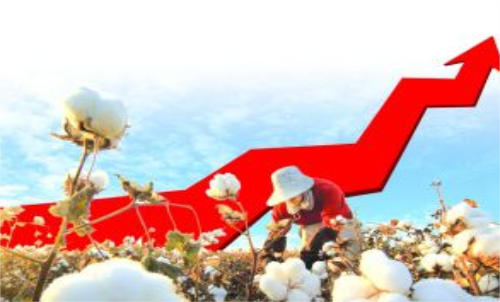 棉花期貨價格變化和哪些因素有關？變動